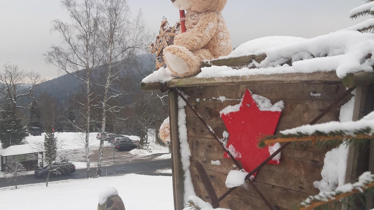 20211211_120438_resized 20211211_120438_resized